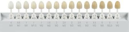 Tooth Shade Scale Related Keywords Suggestions Tooth