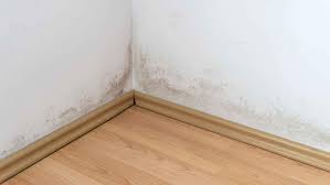 signs of mold under laminate flooring