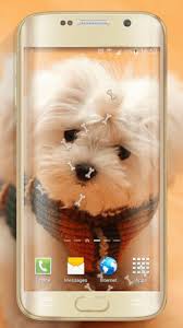 cute dogs live wallpaper 1 5 free