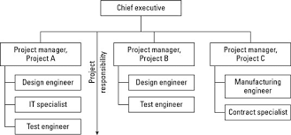 Using A Projectized Structure To Administer Your Project