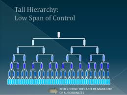 Span Of Control Management