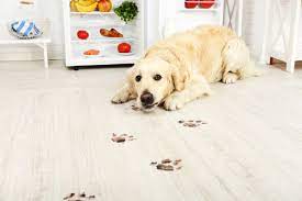 the best pet friendly flooring options