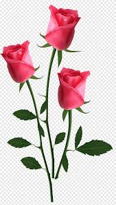❤ get the best pink rose flower wallpaper on wallpaperset. Bouquet Of Roses Red Rose Bouquet Of Flowers Png Pngegg