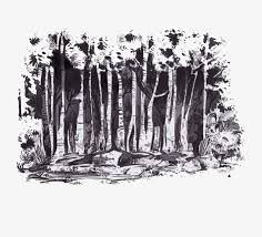 drawing forests watercolor dark