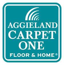 aggieland carpet one floor home