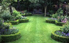 Box Edged Beds In Lawn English Garden