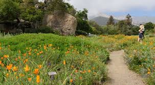 Santa Barbara Botanic Garden Receives