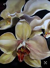 Orchids Painting Orchid Drawing