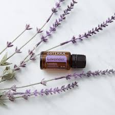 Essential oils are extracted through the art of distillation. Lavender Oil Uses And Benefits DÅterra Essential Oils
