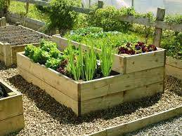 Raised Bed Part Two Inspiration Thursday