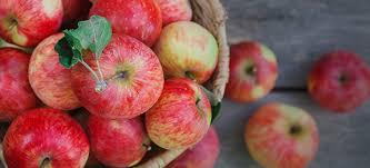 can apples help you lose weight