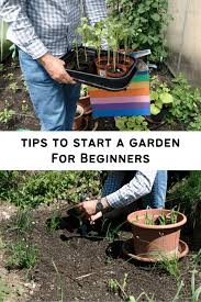 Tips To Start A Garden From Scratch For