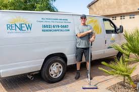 about lee smith renew cleaning