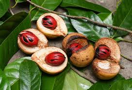 amazing benefits of nutmeg for health