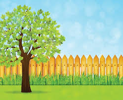 Garden Background With Green Tree And