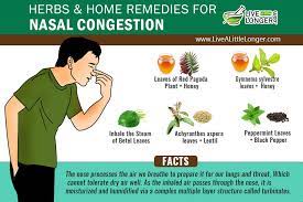 nose congestion remedy best