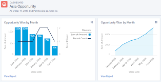 Combination Charts Salesforce Lightning Reporting And