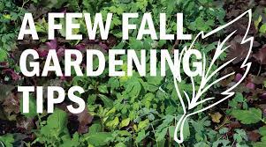 A Few Fall Gardening Tips Resource