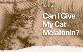 can i give my cat melatonin the