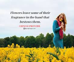 Flower quotes and puns are a fun and unique way to show your valentine just how much you care, without breaking the bank. 14 Inspirational Quotes Of Flowers Swan Quote