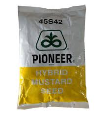 Pioneer Mustard Seed 45s42