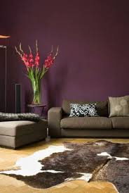 Aubergine Eggplant Living Room Paint