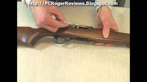 tools to clean a ruger 10 22