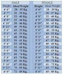 Ideal Weight Chart Sheet Height To Weight Chart Weight