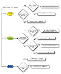 Flowchart Diagramming The Beaver Conservation And