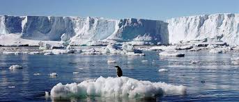 Ανταρκτική: Αποκολλήθηκε τεράστιο παγόβουνο | Υγεία - Περιβάλλον | ANT1 News