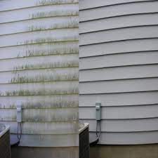 how to clean mold off siding do it