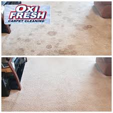 oxi fresh carpet cleaning waxhaw nc