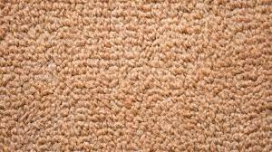 berber carpet pros and cons 2024