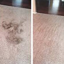pet treatments beyer carpet cleaning