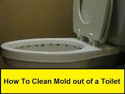 How To Clean Mold Out Of A Toilet