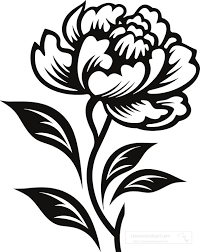 plant outline clipart peony flower