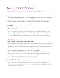 Resume Writing Rochester Ny   Professional resumes example online 