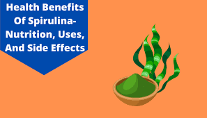 spirulina benefits top 10 health
