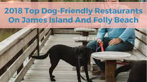 2018 top 10 dog friendly restaurants on