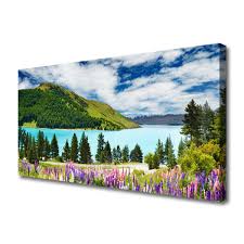 Canvas Wall Art Mountain Forest Lake