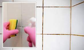 Black Mould From Bathroom Grout