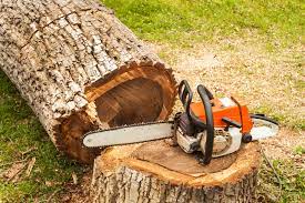 How To Troubleshoot A Chainsaw That Won't Start | Hunker
