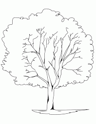 Post the colored pages on twitter, instagram or facebook and tag us so we can share with others, or email a photo to info@liveoakfest.org. Oak Tree Coloring Page Coloring Home