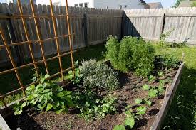 how to grow vegetables in a small space
