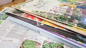 best seed catalogs for home gardeners