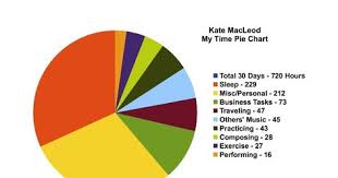 Image Result For Personal Time Pie Chart Chart Pie