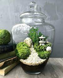 Choosing The Best Terrarium Container