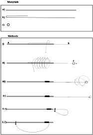 In old naval cases, seven loops for the seven seas. Description Of The Way To Make The Noose Type 1 Materials Wire 0 5 Download Scientific Diagram