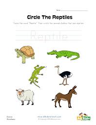 Circle The Reptiles Worksheet All Kids Network