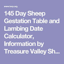 145 Day Sheep Gestation Table And Lambing Date Calculator